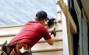 Best Historical Building Siding Restoration  in Willow Grove, TX